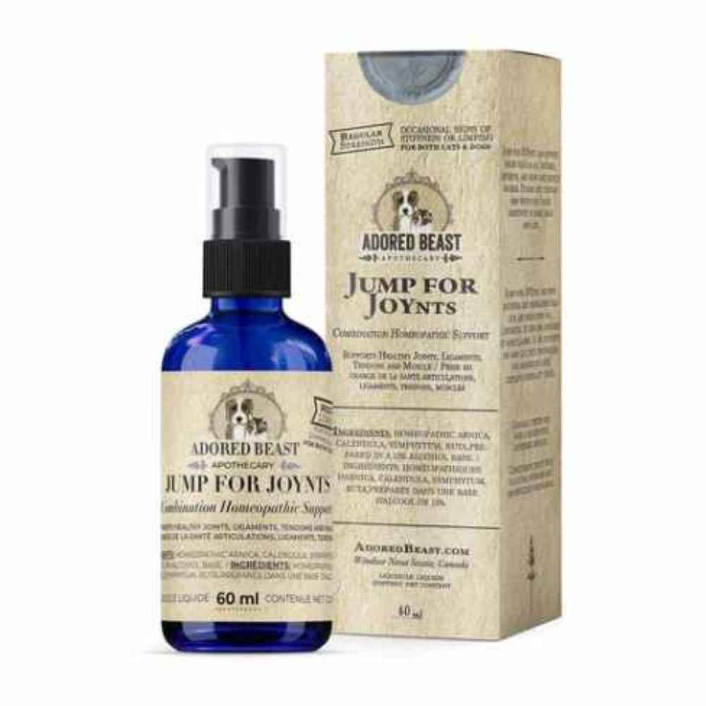 Jump for Joynts Adored Beast, Jump for Joynts