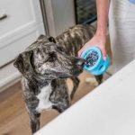 Toppl Treat Toy - West Paw - Image 2