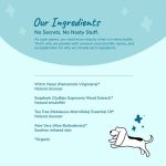 Clean Ears (Dog Ear Cleanser) - Image 3