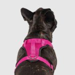 Canada Pooch - The Everything Harness - Image 3
