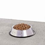 Pronto (Primal) - Image 2