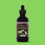 Chlorophyll - Land Art