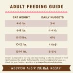 Primal Freeze-Dried Nuggets for Cats - Image 3