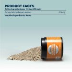 Four Leaf Rover Turkey Tail Mushroom - Image 3