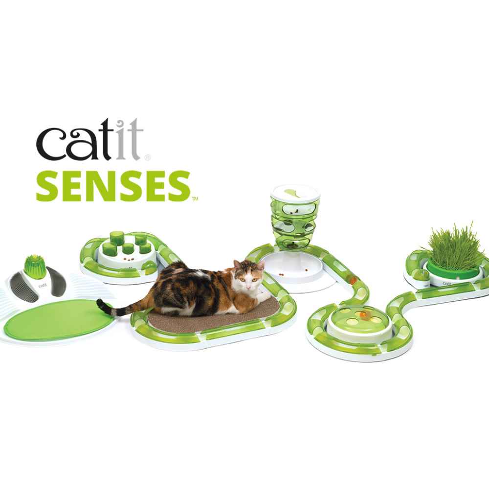 Catit Senses CAtit Senses, Catit, Cat, Scratch, Play, Ball, Interactive