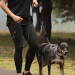 Crosscheck™ Dog Harness - EzyDog - Image 3