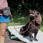 Luca™ Leash - EzyDog - Image 3