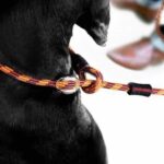 Luca™ Leash - EzyDog - Image 2