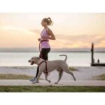 Road Runner™ Leash - EzyDog - Image 3