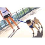 Road Runner™ Leash - EzyDog - Image 2