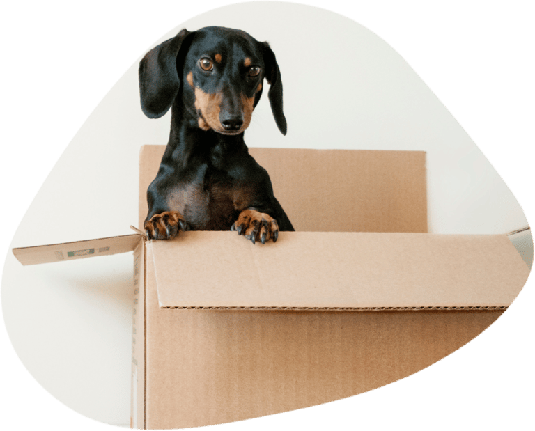 Inline Button Example