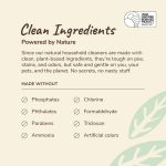 Kin&Kind, Spray, Multi-Surface, Clean, Cleaner, Kitty Litter, Odour, Stain