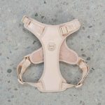 DexyPaws No-Pull Dog Harness - Image 2