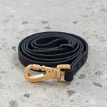 DexyPaws Waterproof Leash, Leash, Waterproof, dexypaws