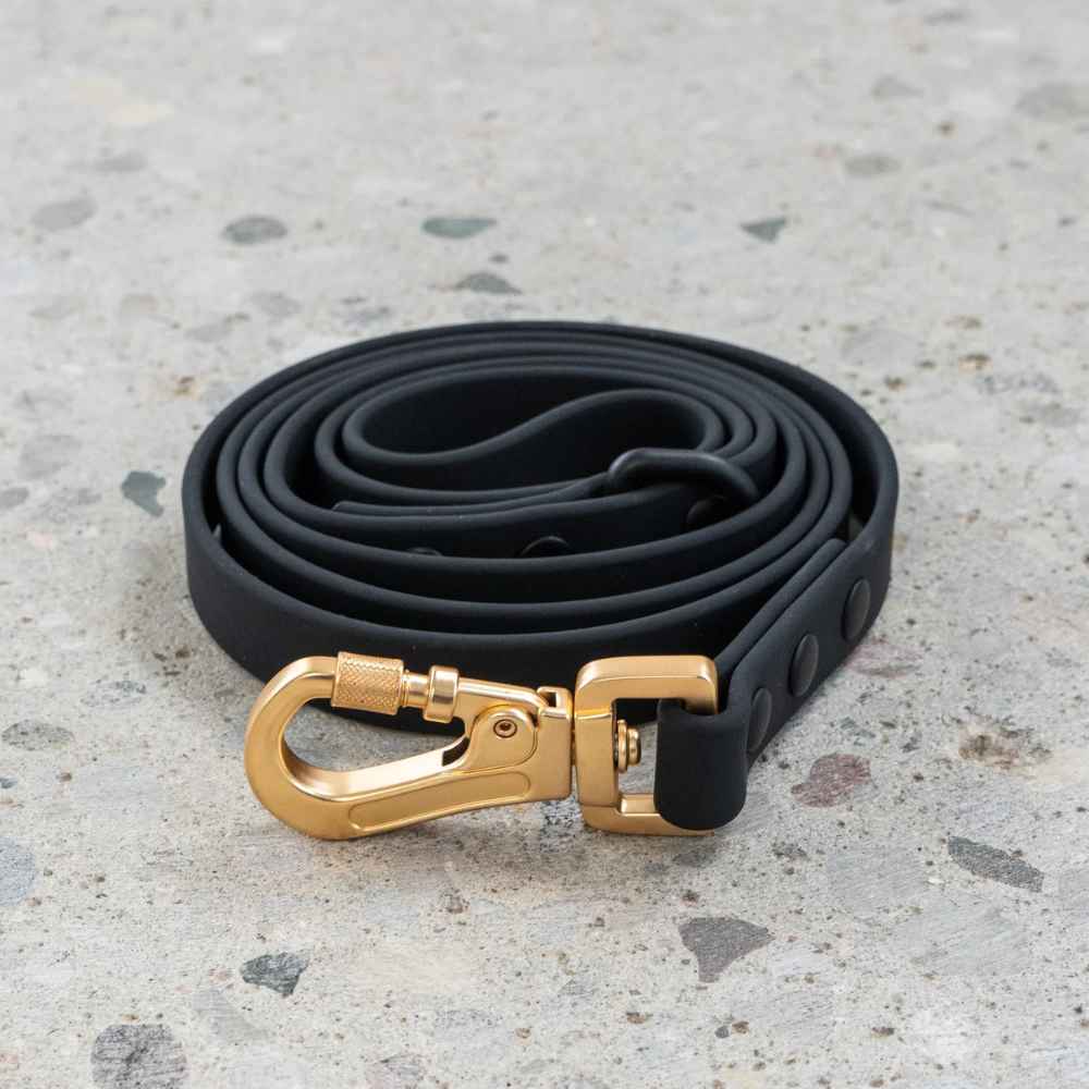 Dexy Paws Leashes DexyPaws Waterproof Leash, Leash, Waterproof, dexypaws