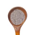 Fido's Flora - Image 5