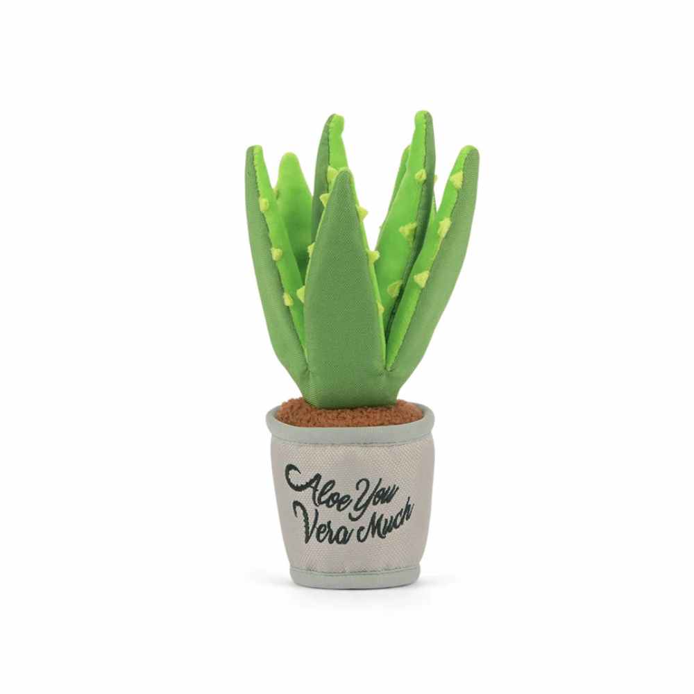 Blooming Buddies Aloe You Vera Plant Toy From Pet Play San Fransisco Blooming Buddies Aloe You Vera Plant Toy From Pet Play San Fransisco