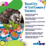Sodapup Mandala Design eTray Enrichment Tray for Dogs - Image 2