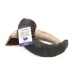 Icelandic+ Lamb Horn Dog Chew, Icelandic, Lamb, Horn, Chew, Snack Bar