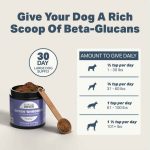 Four Leaf Rover Seven Shrooms - Image 2