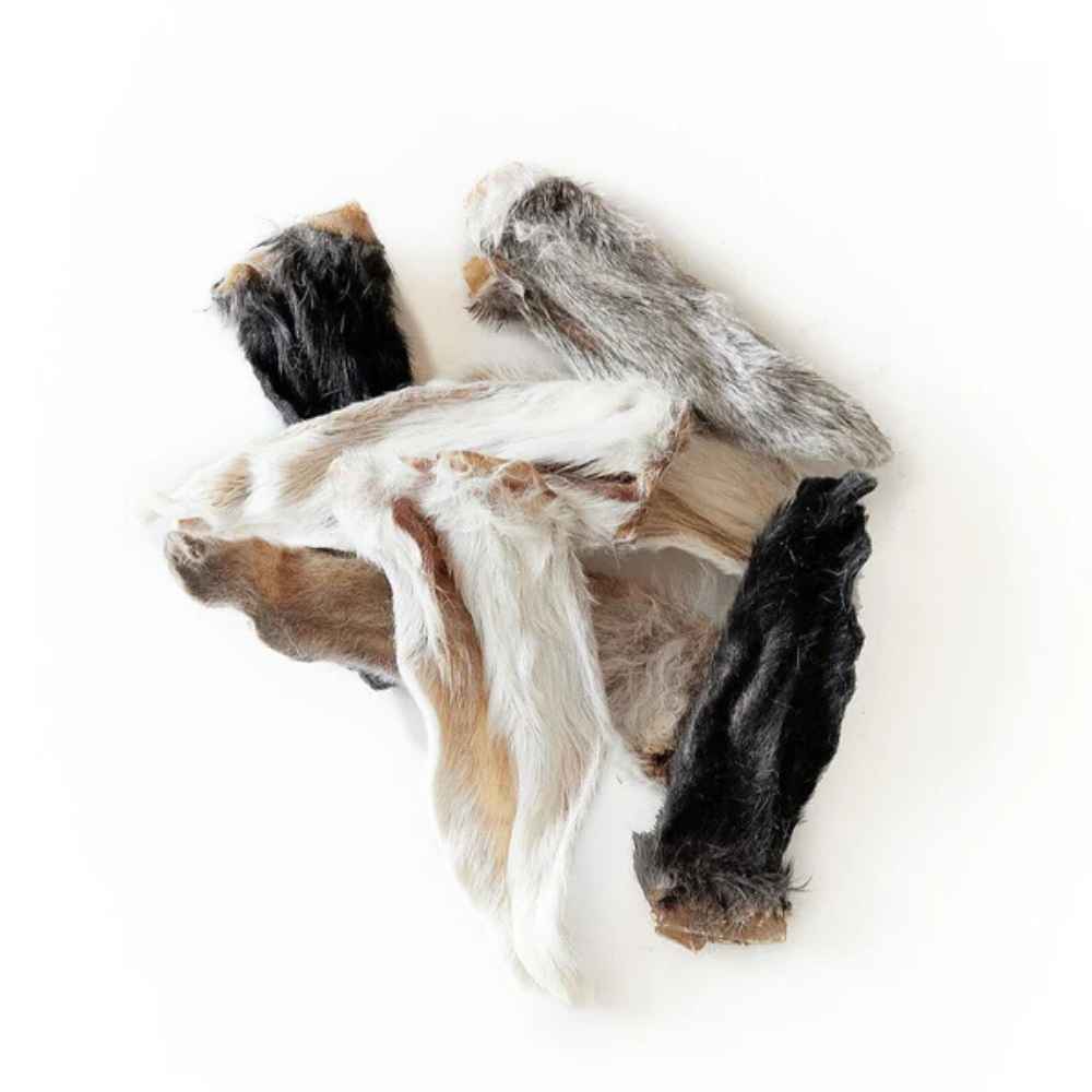 Rabbit Ears Rabbit Ear, Snack Bar, Rabbit, Dehydrated