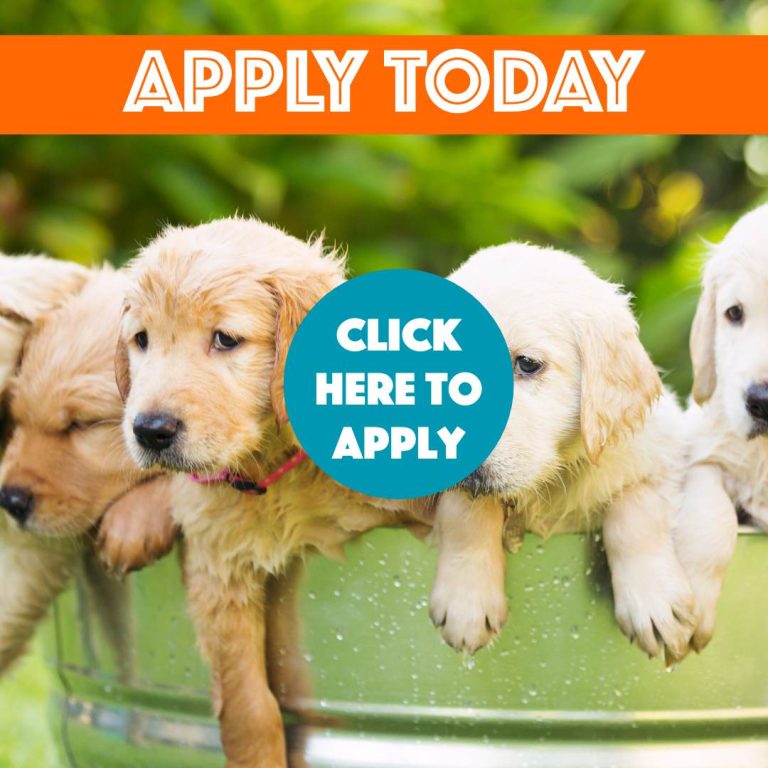 Breeder Program - LINK TO FORM