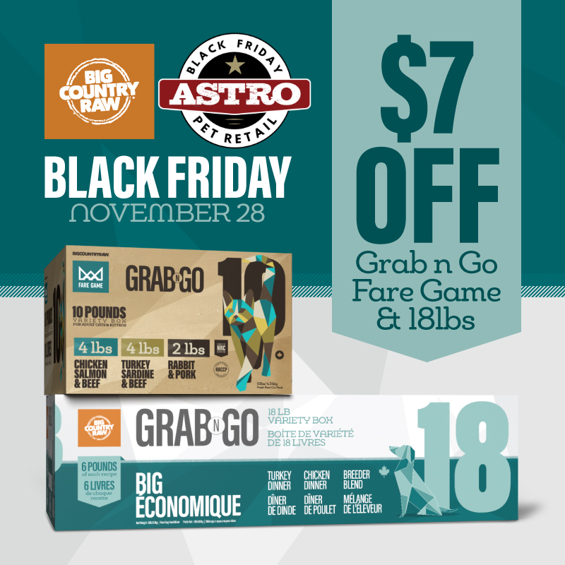 November 2025 Promo 5