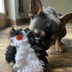 Tall Tails Fluffy Penguin Squeaky - Image 2