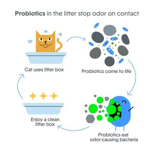 Boxie Cat Deep Clean Litter , Boxie Cat, Cat, Litter, Clay, Bentonite Clay, Clay Litter